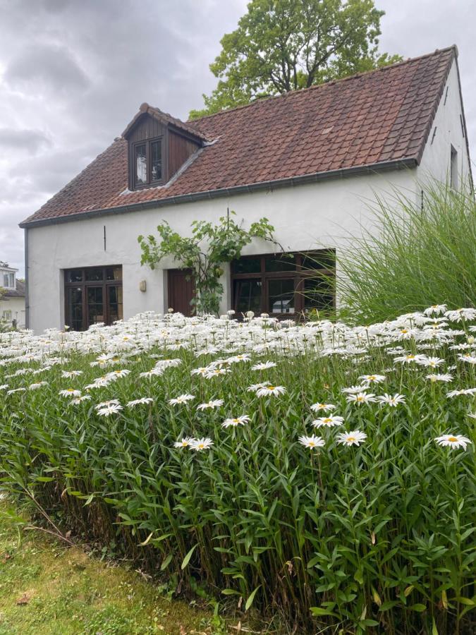 Perlefien Villa Zottegem Exterior photo